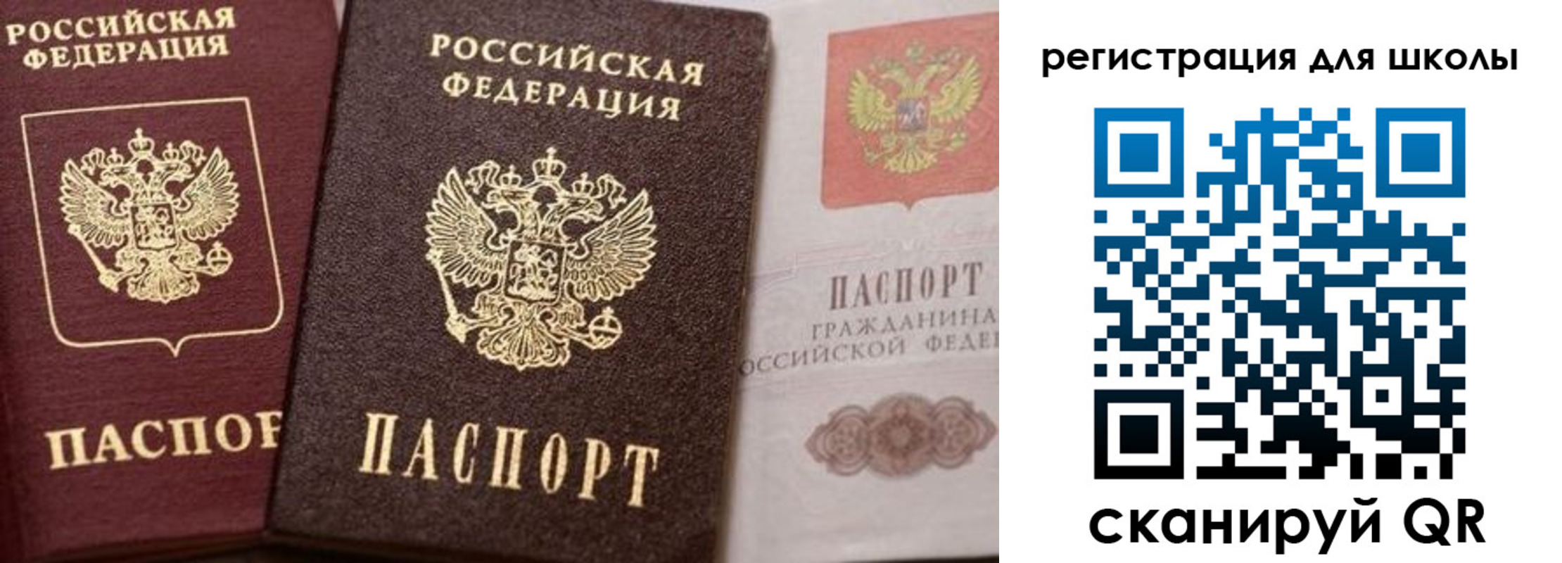 прописка штамп в Невеле
